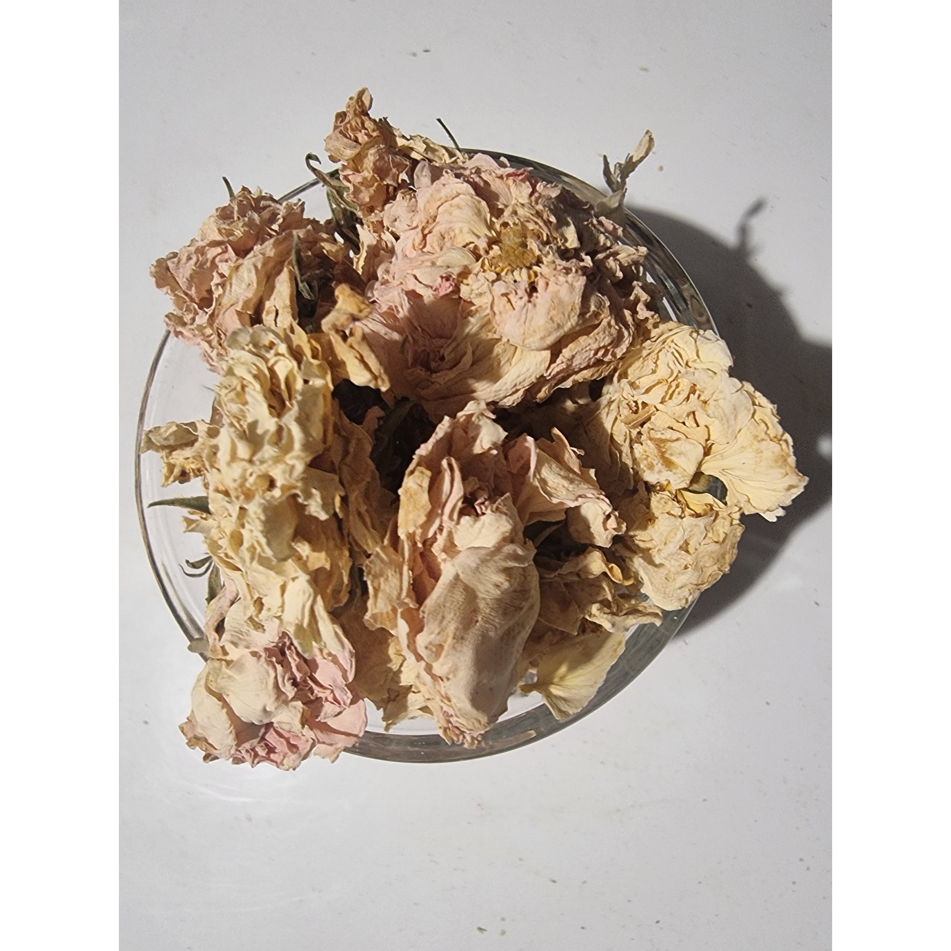 White Dried Rose Flowers