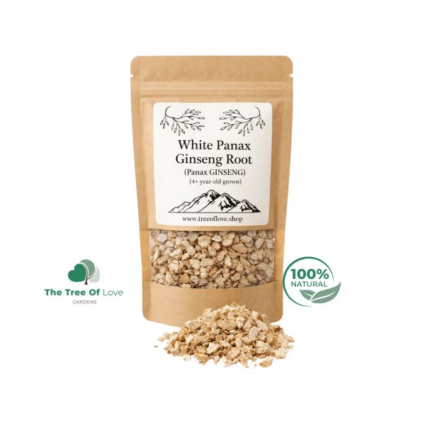 White Panax Ginseng