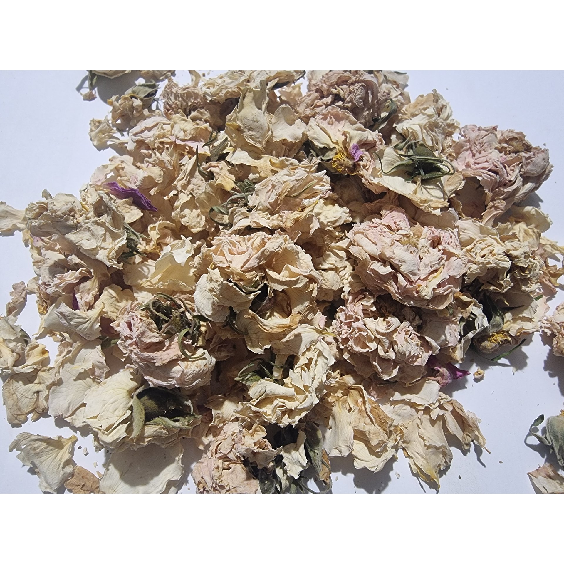 White Rose Buds & Petals