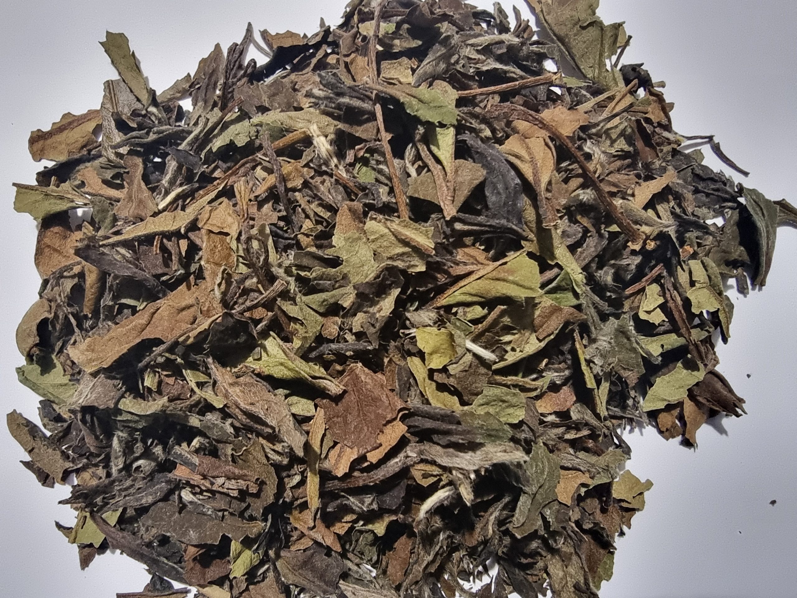 White Tea Leaf - Bai Mu Dan (Pai Mu Tan)