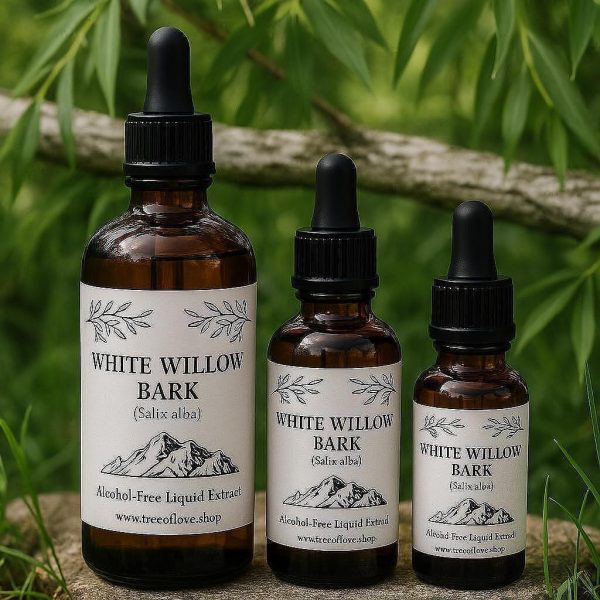 White Willow Bark Glycerite