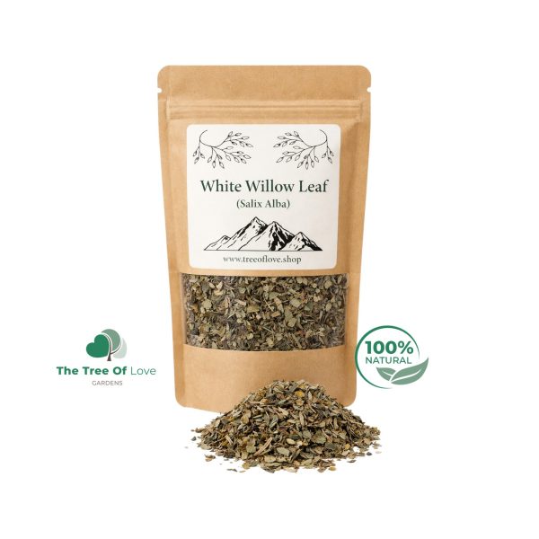 White Willow Leaf