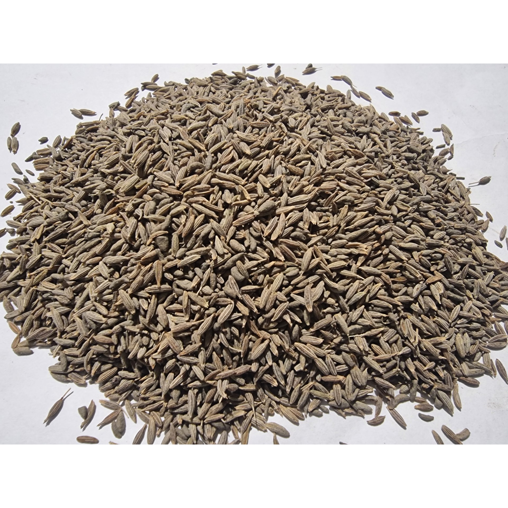 Whole Cumin Seeds