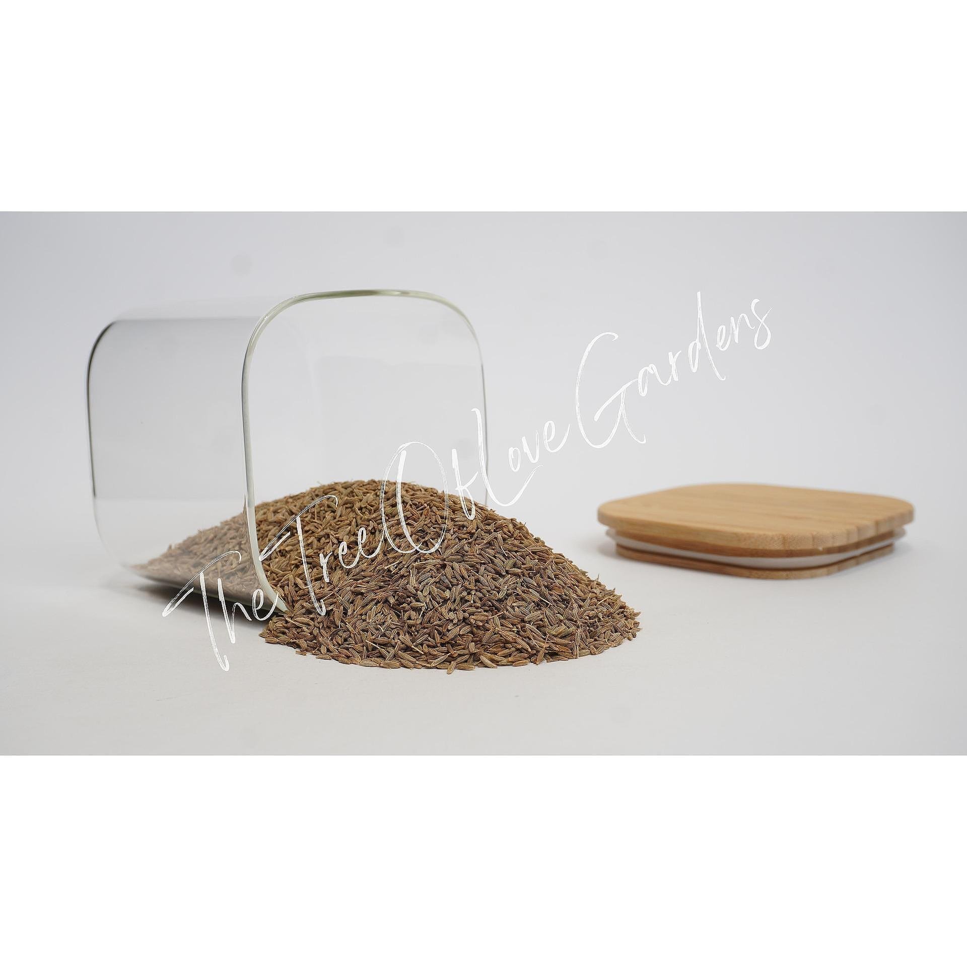 Whole Cumin Seeds