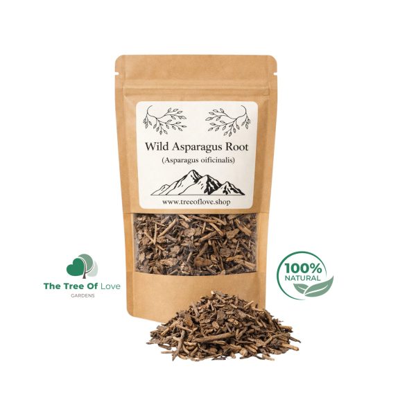 Wild Asparagus Root