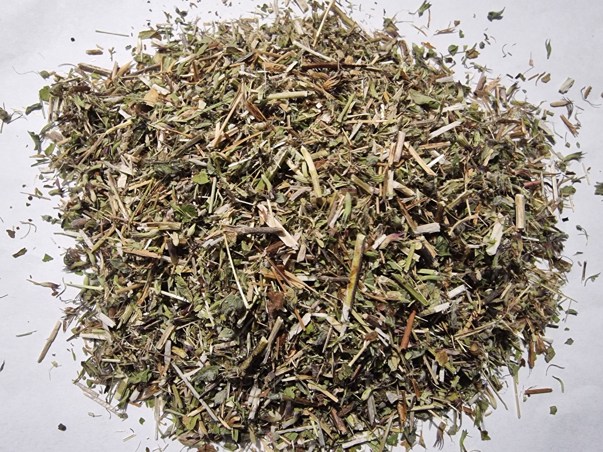 WILD BASIL