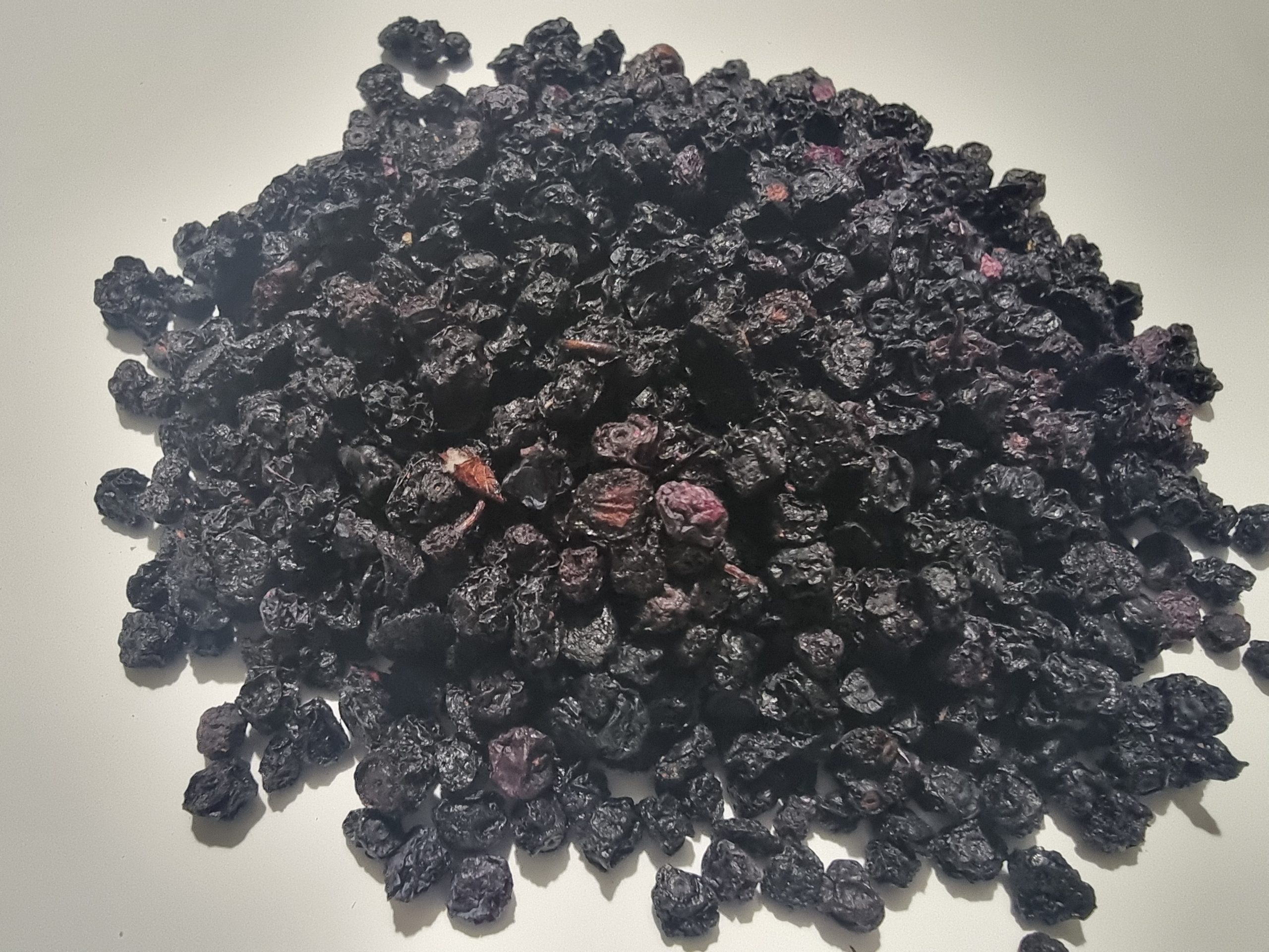 Wild Bilberries