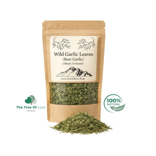 Wild  Garlic Leaf