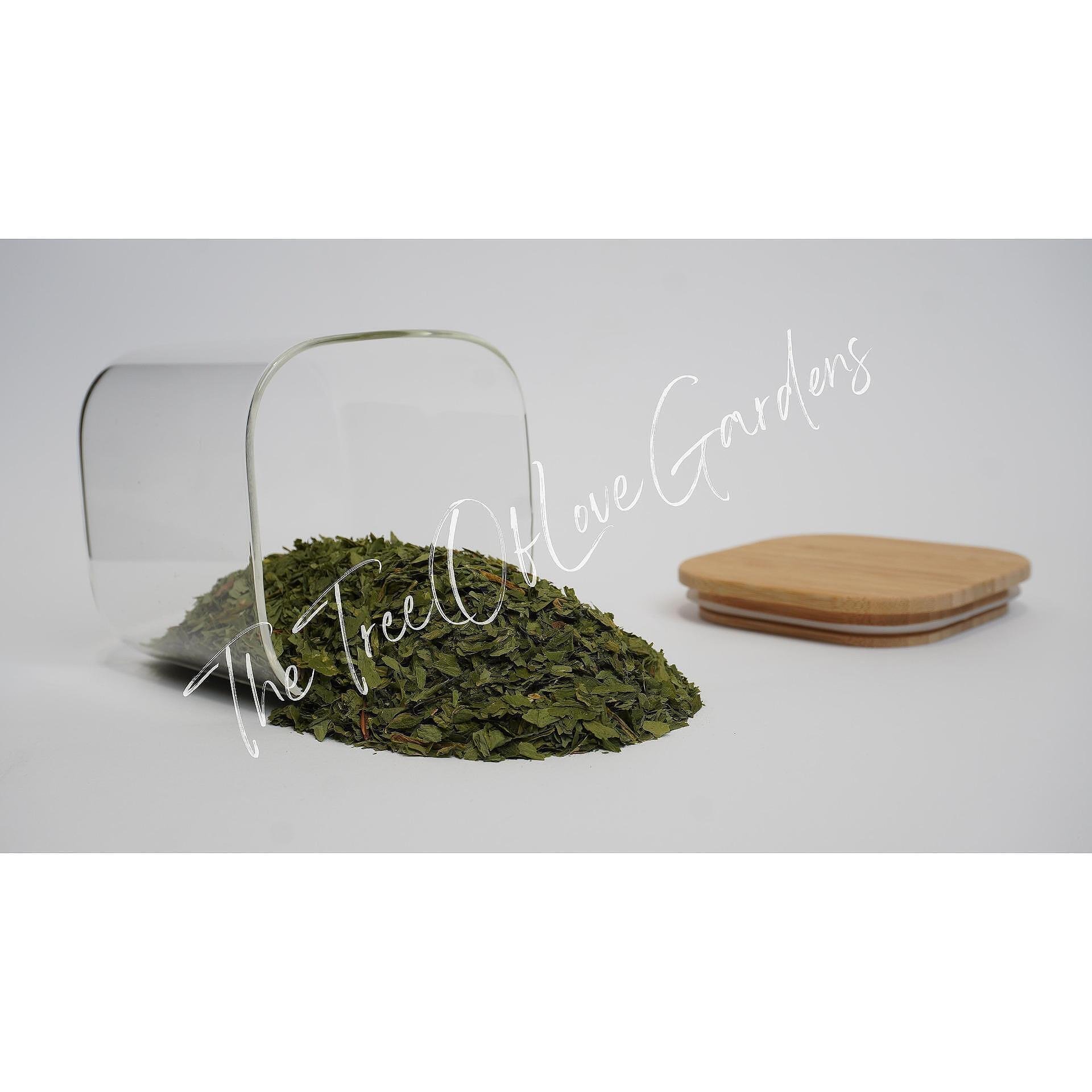 Wild Garlic Leaf