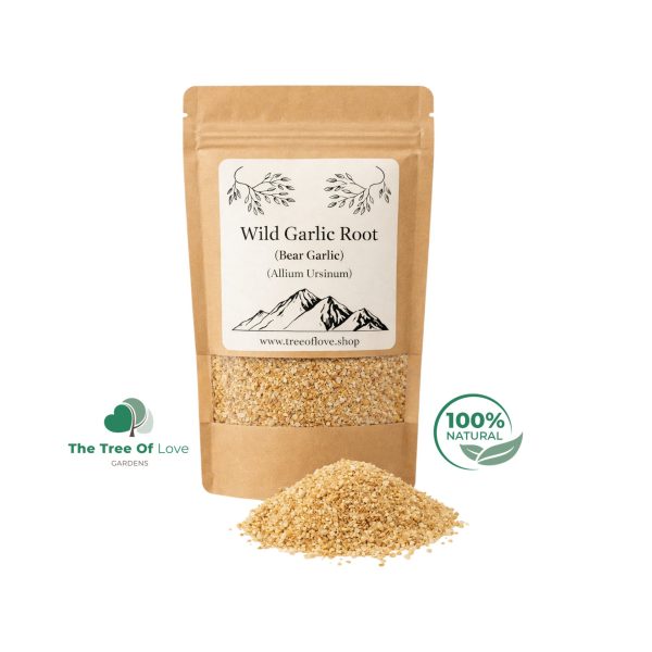 Wild Garlic Root