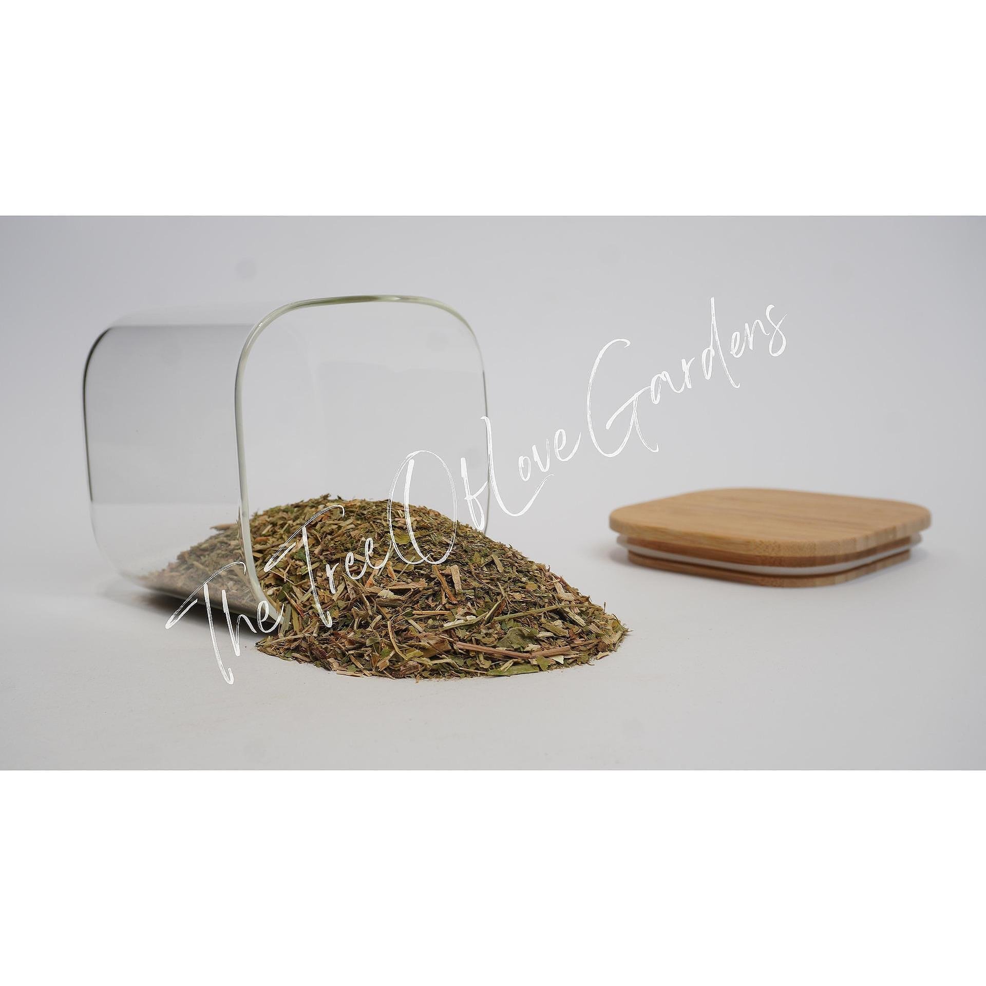 Wild Liquorice Herb & Berries
