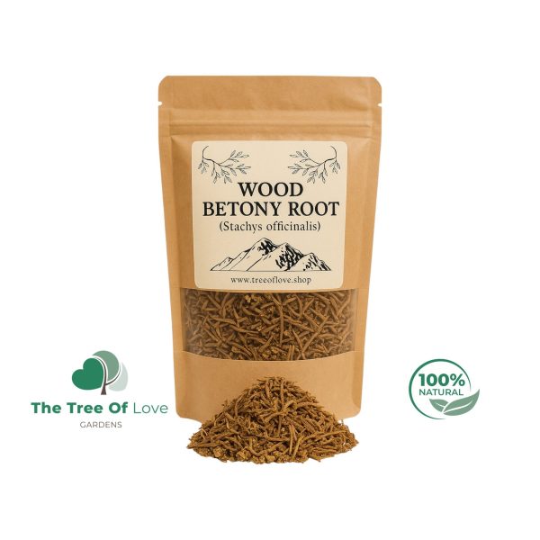 Wood Betony Root