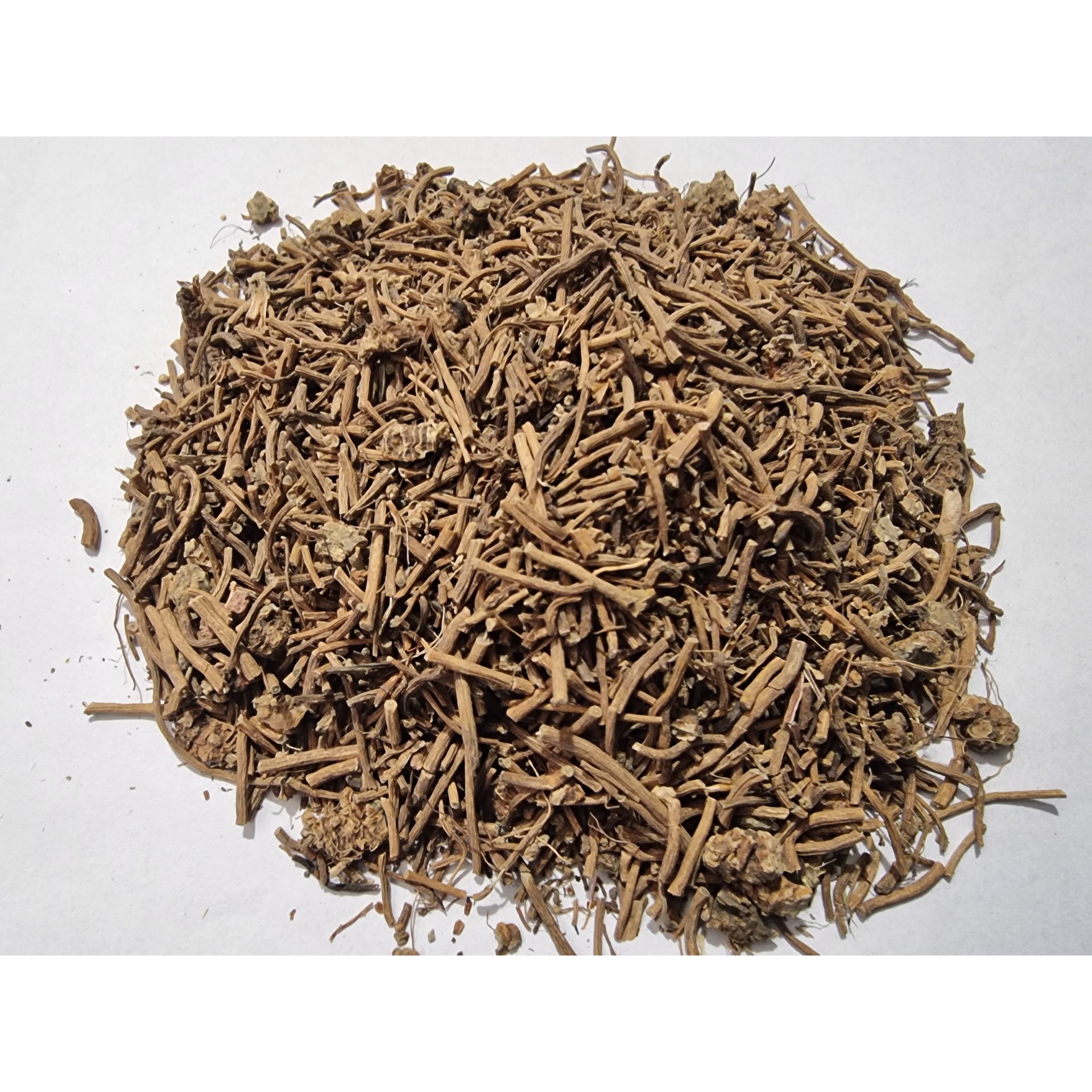 Wood Betony Root