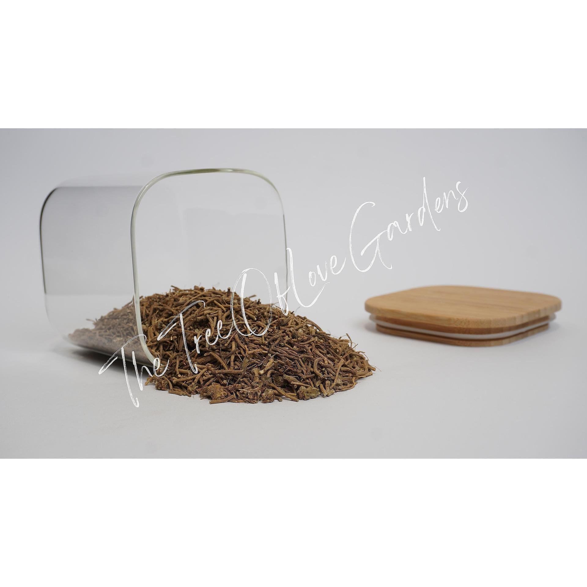 Wood Betony Root