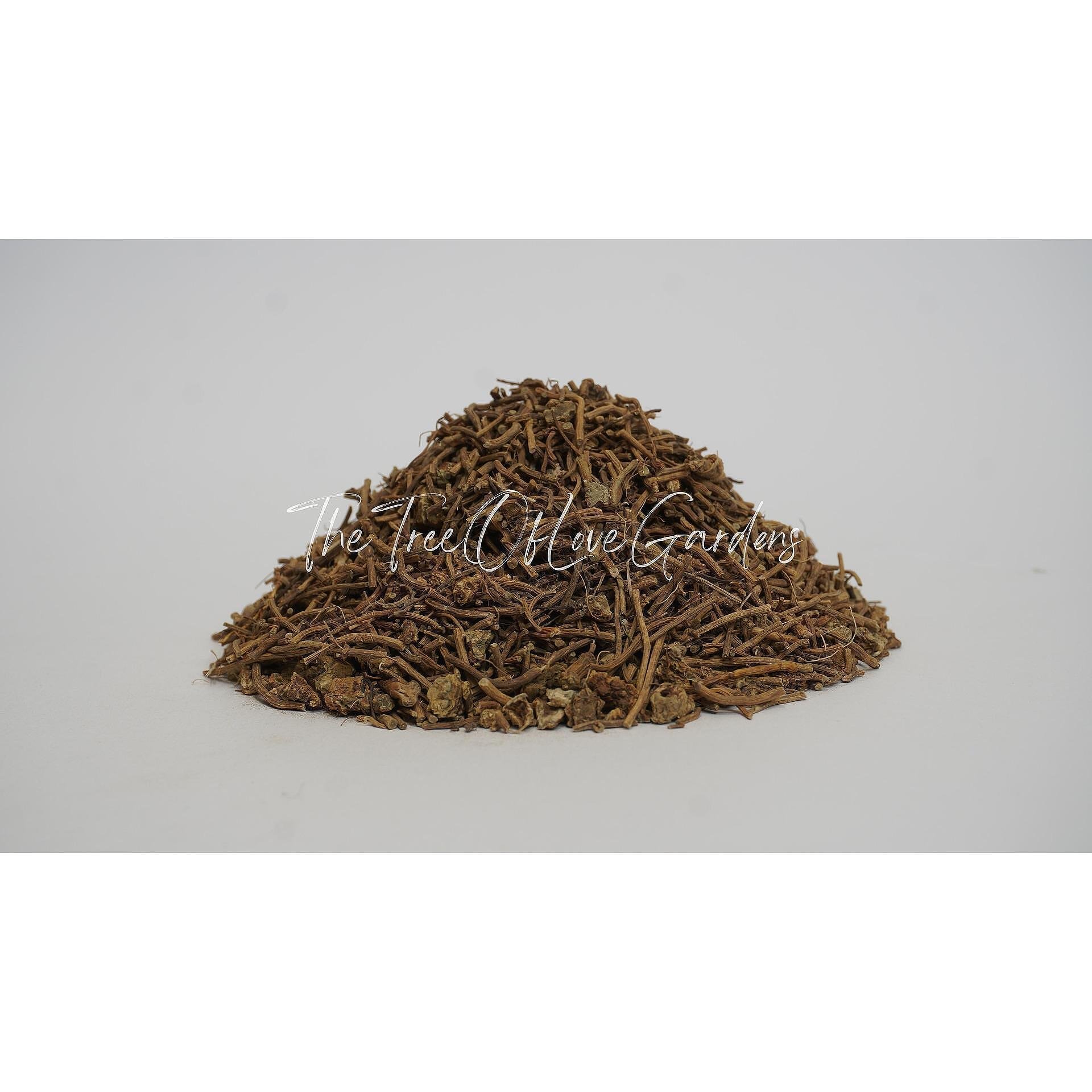 Wood Betony Root