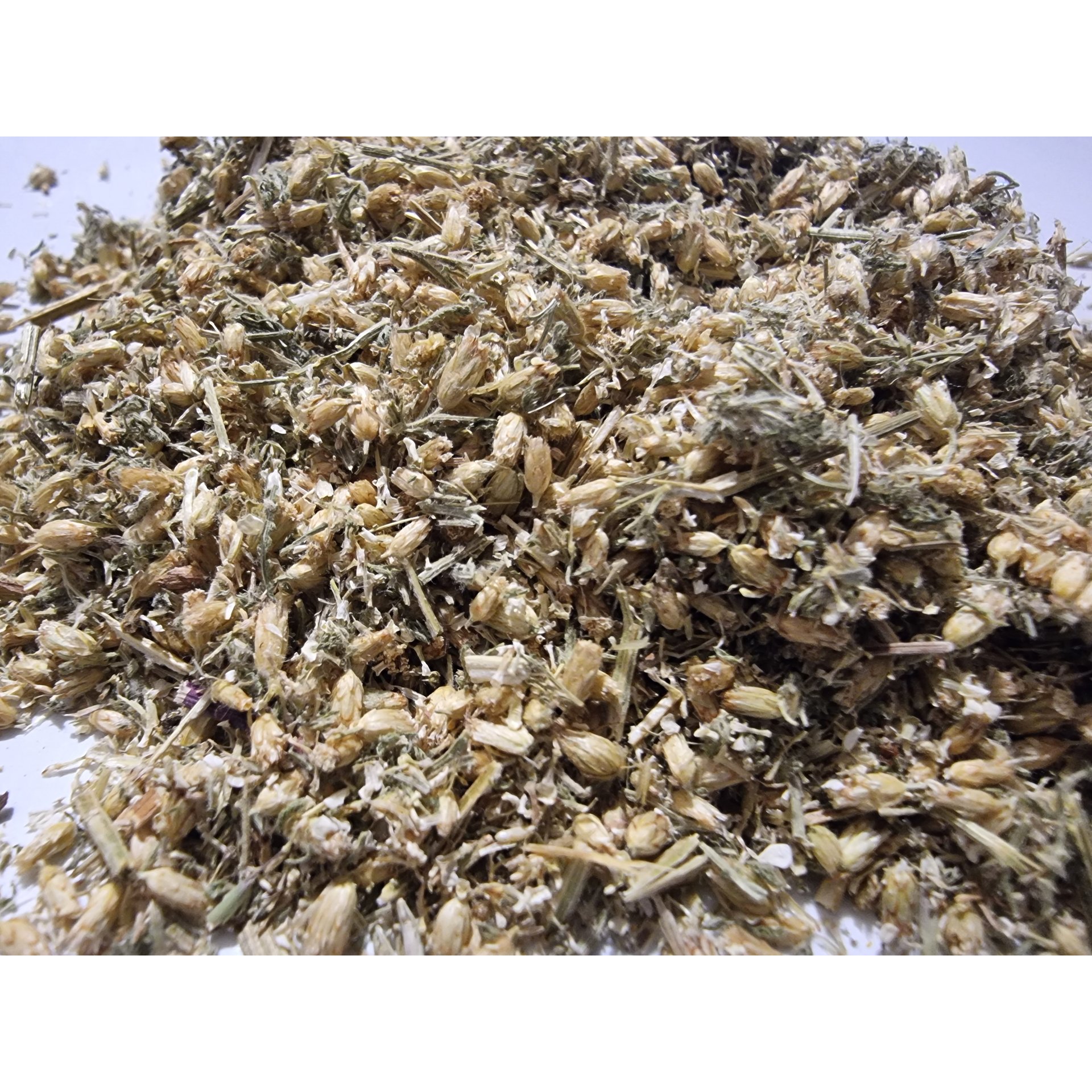 Yarrow Flower