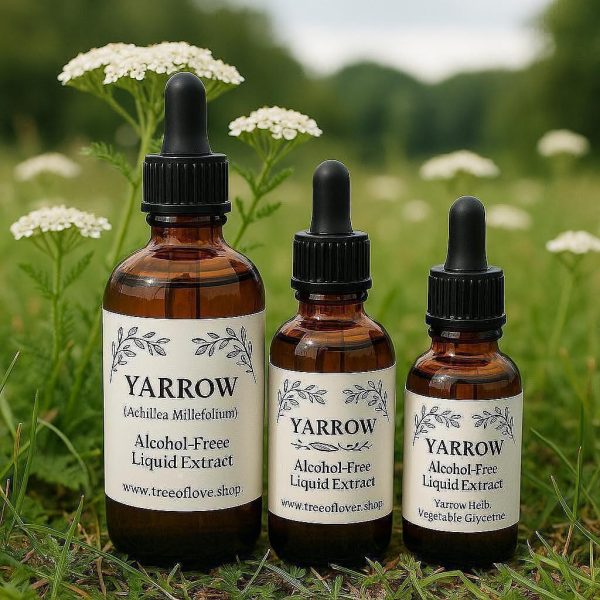 Yarrow Flower Glycerite