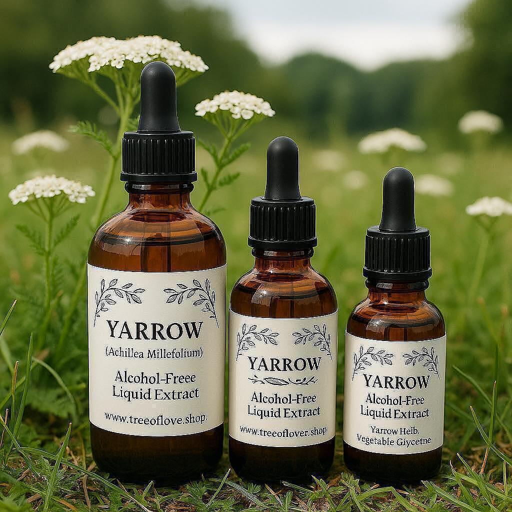 Yarrow Flower Glycerite